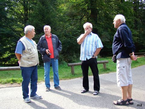 Foto 15